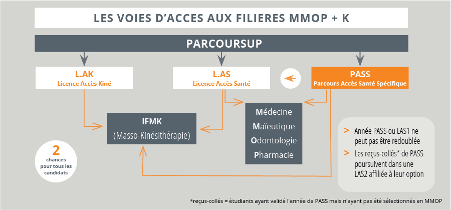 LES VOIES D’ACCES AUX FILIERES MMOP + K